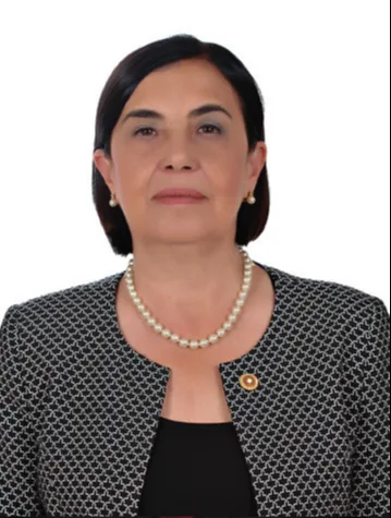 Jale Nur Süllü