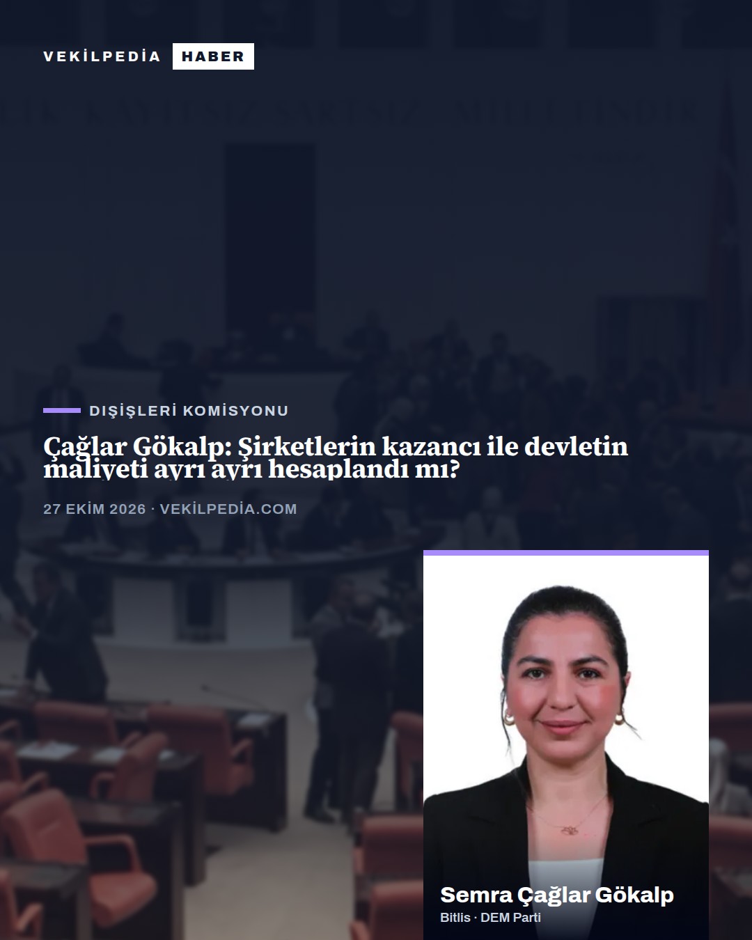 Çağlar Gökalp: Şirketlerin kazancı ile devletin maliyeti ayrı ayrı hesaplandı mı?